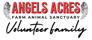 Angels Acres Volunteer Family