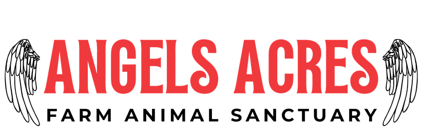 Angels Acres Farm Animal Sanctuary