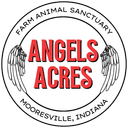 Angels Acres