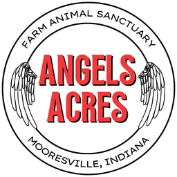 Angels Acres Farm Animal Sanctuary