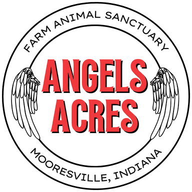 Angels Acres